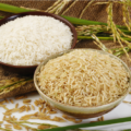 arroz branco e integral 120x120 - Diferenças entre arroz branco e arroz integral